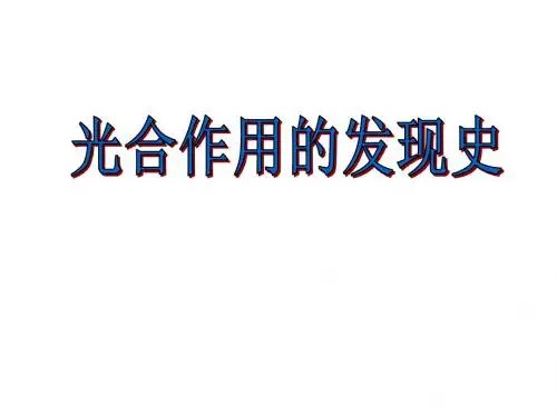 高一生物捕获光能的色素和结构