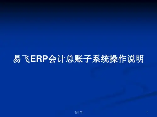 易飞ERP会计总账子系统操作说明PPT学习教案
