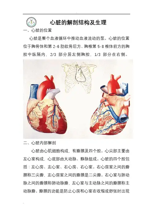 心脏的解剖结构及生理(含彩图)
