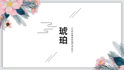 琥珀小知识