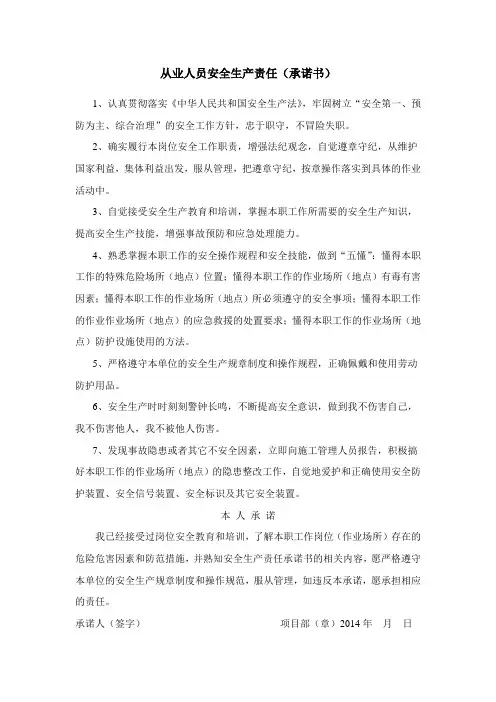 安全生产责任书(承诺书)