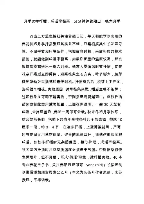 月季这样扦插,成活率极高,分分钟钟繁殖出一棵大月季