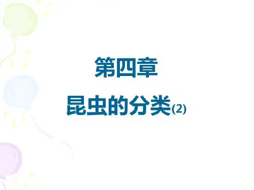 中山大学昆虫世界与人类社会公选课课件第四讲共36页