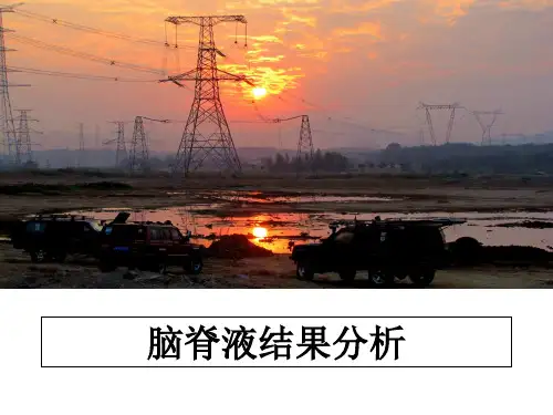 最新脑脊液结果分析课件PPT