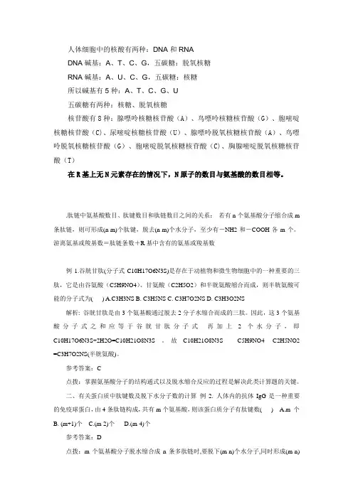 高一生物蛋白质计算总结