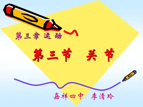 初一生物关节