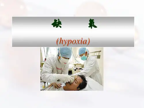 缺氧B本张亚辉PPT课件