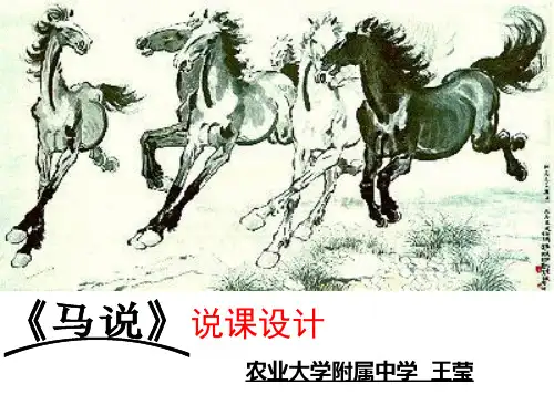 马说 (1)