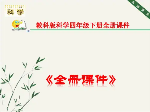教科版四年级科学下册完整课件