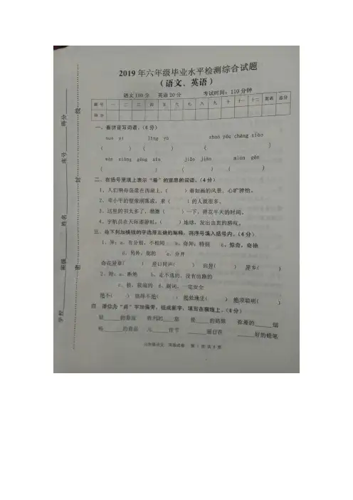 六年级下册(语文、英语)试题-2019年河南省驻马店市平舆县 (人教新课标)(图片版,无答案)