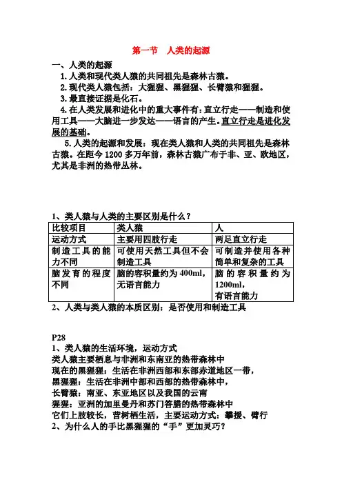 人类的起源