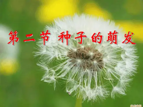 2019新人教版七年级生物上册第二章第一节种子的萌发 课件