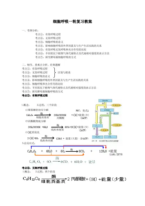 高中生物细胞呼吸一轮复习教案