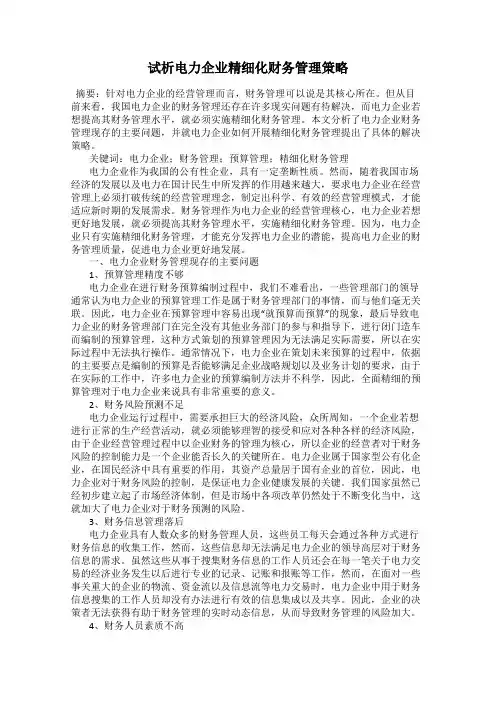 试析电力企业精细化财务管理策略
