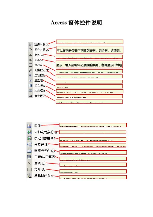 Access窗体控件说明