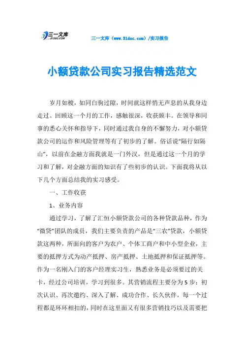 小额贷款公司实习报告精选范文