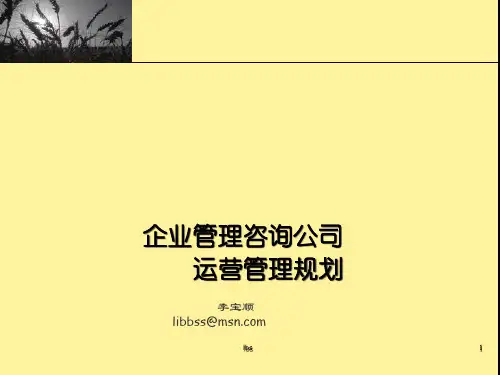 企业管理运营规划.pptx