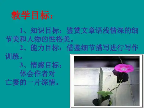 《亡人逸事》课件 苏教版