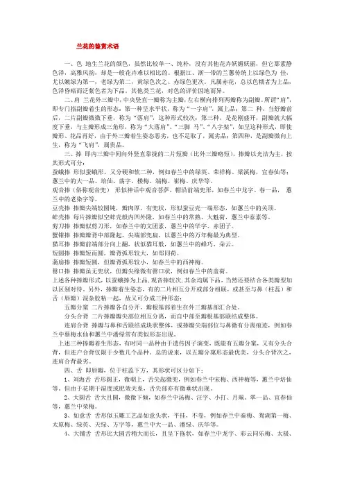 兰花鉴别嗉语