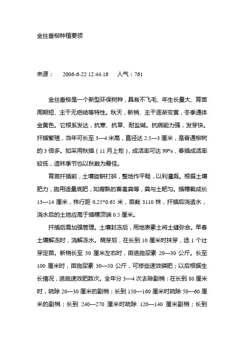 金丝垂柳种植要领