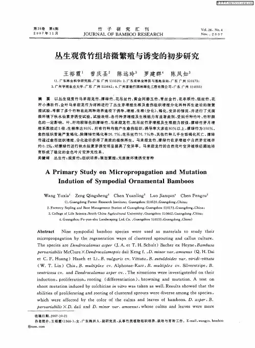 丛生观赏竹组培微繁殖与诱变的初步研究