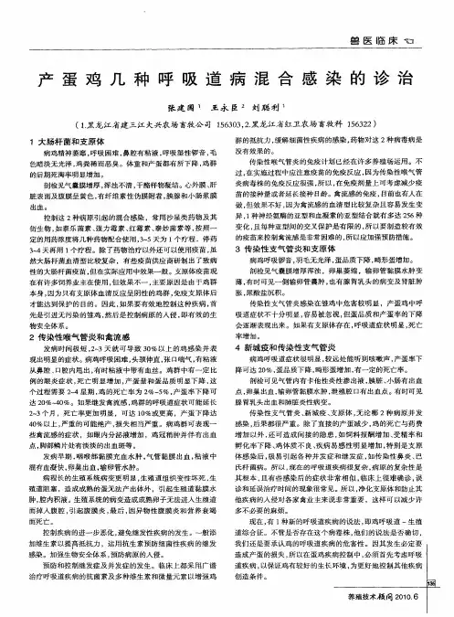 产蛋鸡几种呼吸道病混合感染的诊治