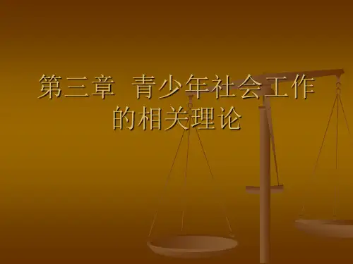 第三章 青少年社会工作相关理论