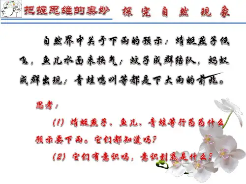 高中政治人教版必修四生活与哲学5.1  意识的本质 课件(共20张PPT)