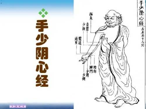 手少阴心经