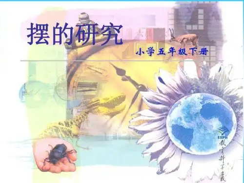 摆的研究