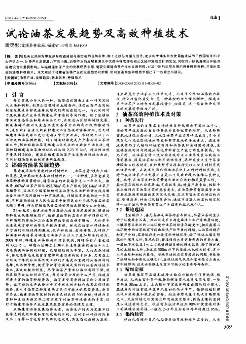 试论油茶发展趋势及高效种植技术