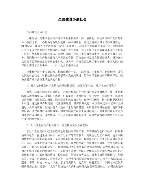 全面建设小康社会