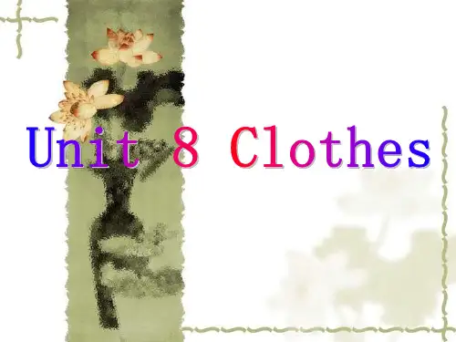 二年级英语上册课件 Unit 8 Clothes(沪教牛津版)