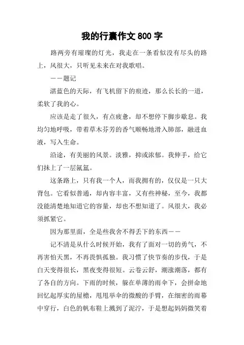 我的行囊作文800字_1