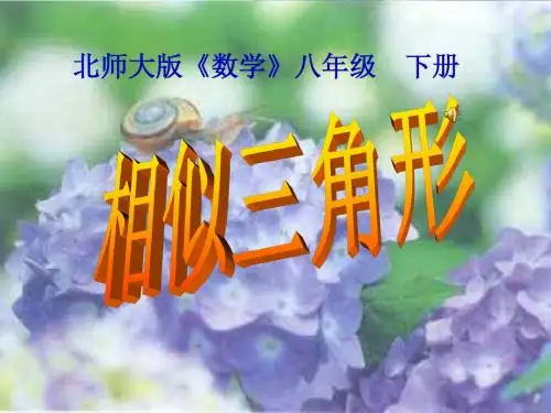 相似三角形--北师大版