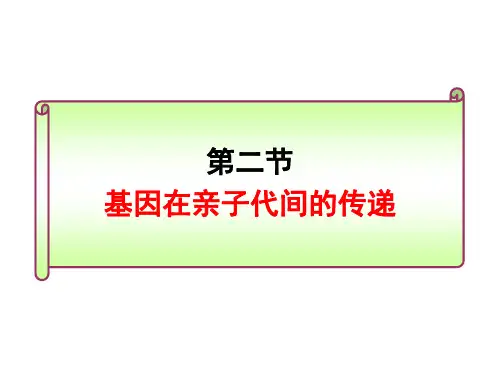 人教版八年级生物下册7.2.2 基因在亲子代间的传递课件 (共20张PPT)