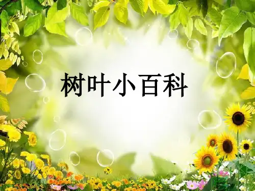 树叶小百科