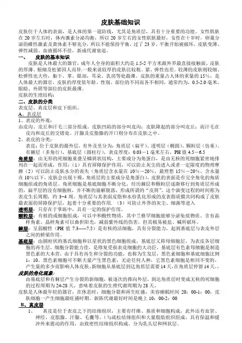 皮肤基础知识