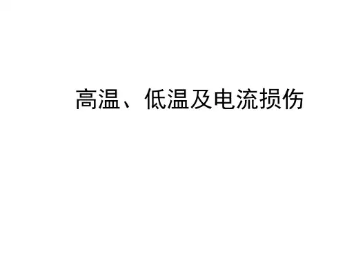 法医学PPT：高温低温电流损伤