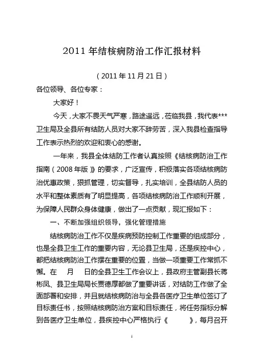 结核病工作总结