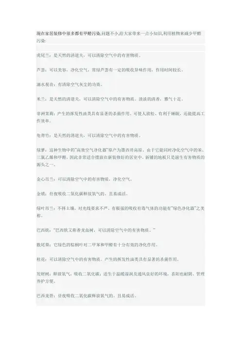 吸收甲醛的绿色植物大全