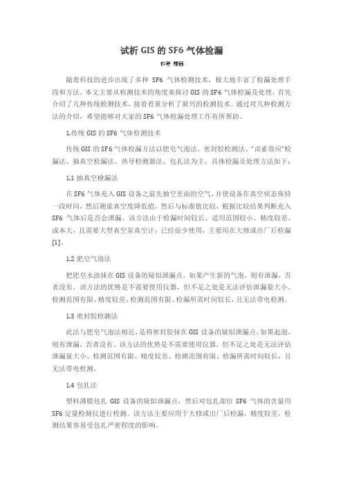 试析GIS的SF6气体检漏