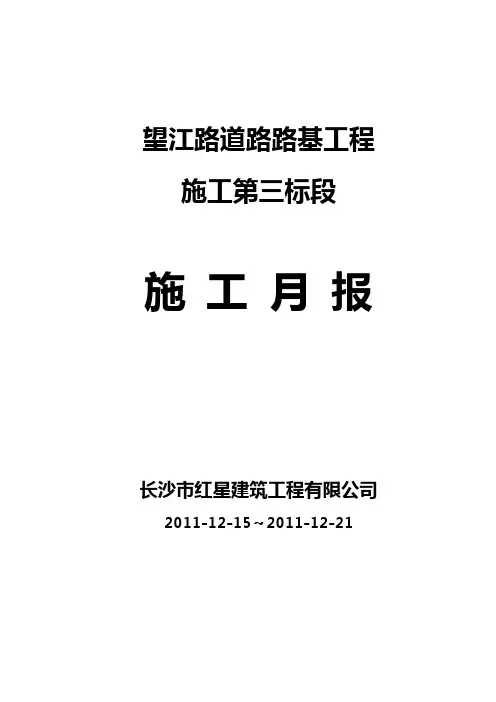 施工月报范本 3