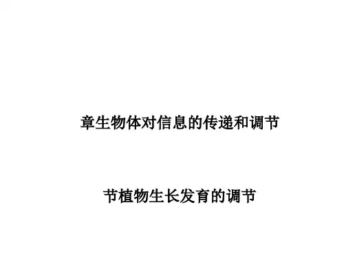 《植物生长发育的调节》PPT课件