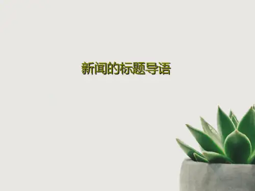 新闻的标题导语64页PPT
