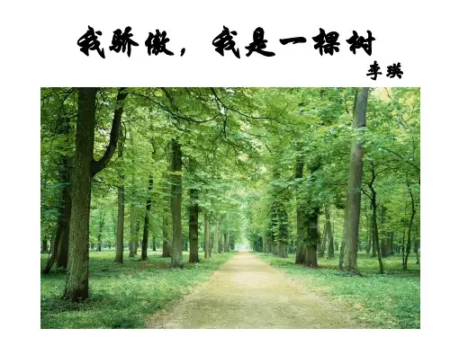 我骄傲,我是一棵树.ppt