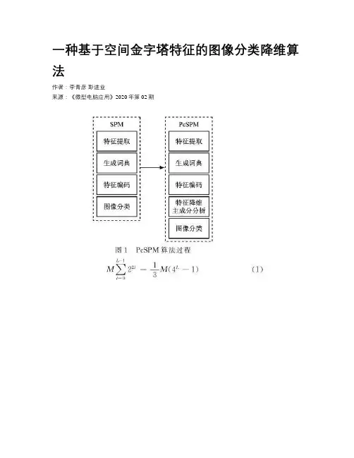 一种基于空间金字塔特征的图像分类降维算法