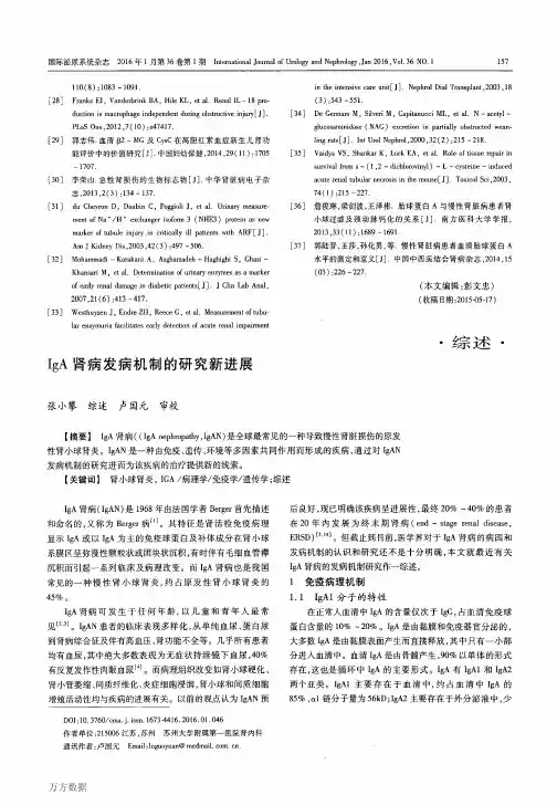 IgA肾病发病机制的研究新进展