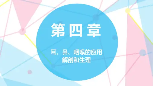 第四章 耳、鼻、咽喉的应用解剖和生理