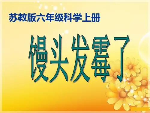《馒头发霉了》PPT课件(2篇)